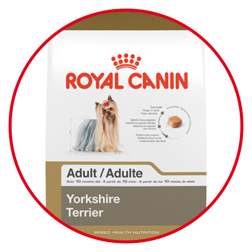 Royal canin best sale critical care diet